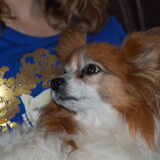 Foto van marijke b