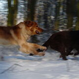 Foto van L&R