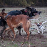 Foto van De Mecheltjes clan