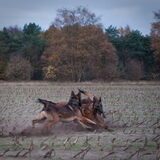 Foto van De Mecheltjes clan