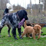 Foto van Maks met Fenna & Yuna