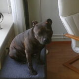 Foto van Elly