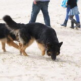 Foto van stephanie