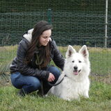 Met asielhond Inca