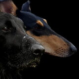 Foto van Liza, (Chiva) Lexi & Elza