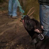 Foto van Femke & Storm