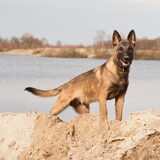 Foto van De Mecheltjes clan