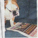 Wedstrijd gewonnen in de krant, zomer 2009.