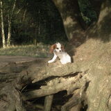 Foto van eddy
