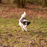 Foto van Angelique; Bruno, Charlie & Fenna