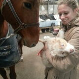 Foto van Marissa & Zuko