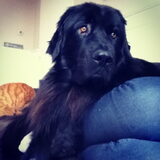 Foto van Anouk & Balou<3