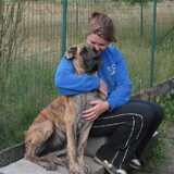 Foto van Of Devoted Dogs