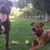 Foto van Laurence, Odin & Loki