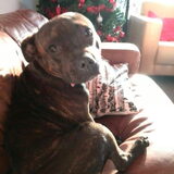 Foto van Elly
