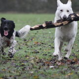 Foto van Margarethe & Shiro