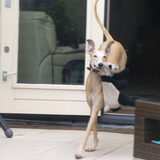 Foto van Ina, Misty en Aysa