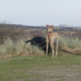 Foto van Ina, Misty en Aysa