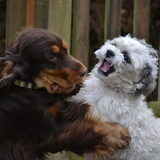Foto van Valérie, Milo en Noa