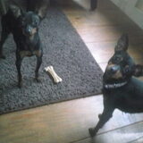 Gino en Didi