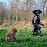 Foto van Maks met Fenna & Yuna