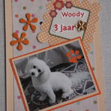 woody drie jaar op 2 maart 2014