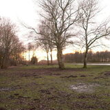 Lekker groot (modder) veld!