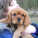 ruby