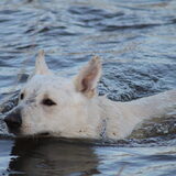 Foto van Margarethe & Shiro