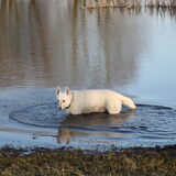 Foto van Margarethe & Shiro