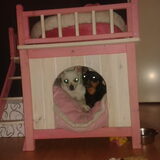 Foto van Jantina, Laila & Luna