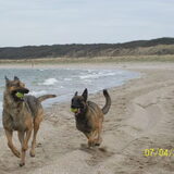 lekker banjeren bij ons aan het strand mooiste wat er is!