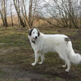 Foto van Fons & Isha