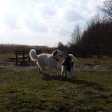 Foto van Fons & Isha