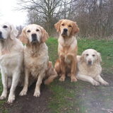 Foto van Golden Girls