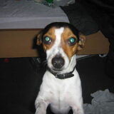 Foto van gina-diesel
