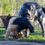 Foto van Maks met Fenna & Yuna
