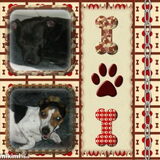 Foto van gina-diesel