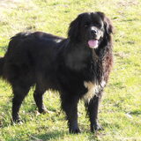 Foto van tessa