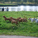 And the winner is: JUICEY @ Puber reunie 09-2009 (Niet alle pubers…