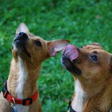 Juicey & Jari (v.l.n.r.)