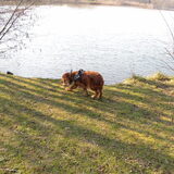 Wandelen rond de Eglegemvijver