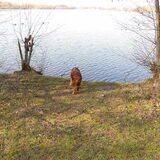Wandelen rond de Eglegemvijver