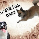 Foto van * Baasje Buddie met Anne*