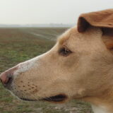 Foto van Anita