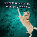 Foto van * Baasje Buddie met Anne*