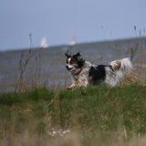 Foto van Wijna