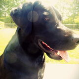 Foto van Sam_xX