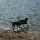 Foto van Liza, (Chiva) Lexi & Elza