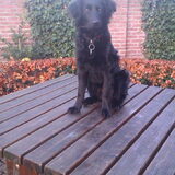 Foto van * Baasje Buddie met Anne*